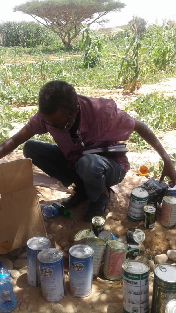 Today on #WorldFoodDay our team shared a meal with local farmers from different IDP Camps in Bosaso, Puntland State of Somalia, and gave them new seeds to harvest. 🌱🌾