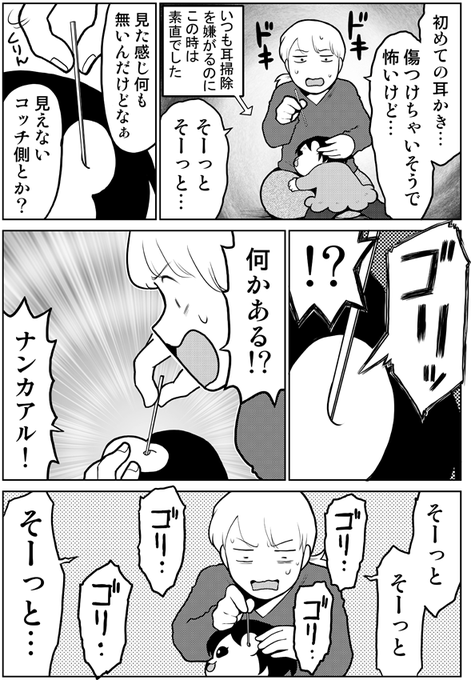 2歳の娘 耳の中に何かある 取って 耳かきして奥から出てきたモノに背筋が凍る いまトピ