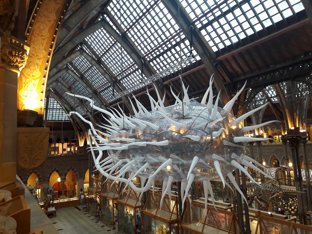 Oxford University Museum of Natural History tweet media