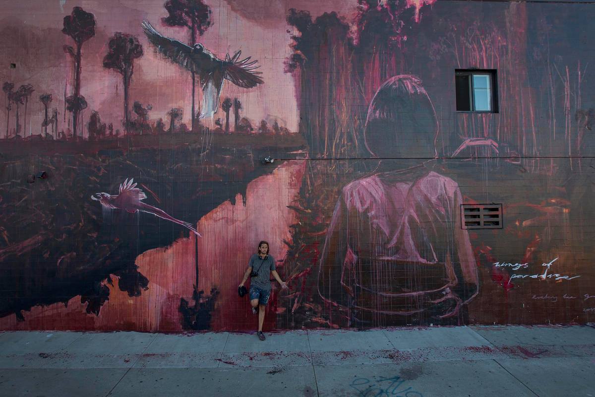 #WingsofParadise mural by artist Ricky Lee Gordon on a building in Long Beach, California, US. © David McNew via @Greenpeace