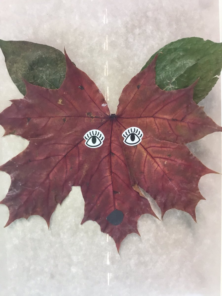 katarinaskolan's tweet photo. Rödrävar i ettan!😁🍁 https://t.co/flc9fH4pgv