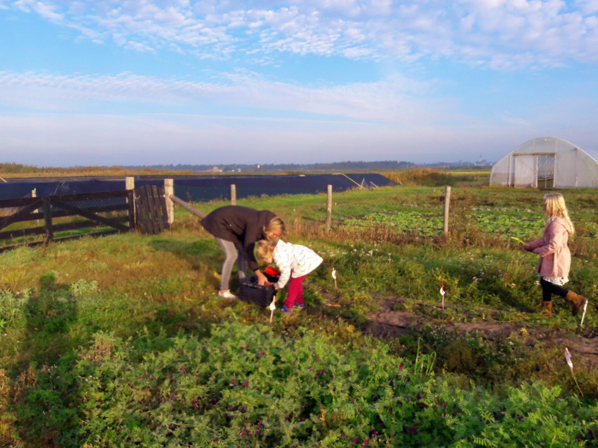Laying the foundation for the future: Today, we got a visit from class 1 &amp; 2 of the Vrije School Texel. After a short presentation by Dr. Arjen de Vos, these kids went, full of enthusiasm, to give us a helping hand with the harvest of the carrots on our test field. #WFD2018