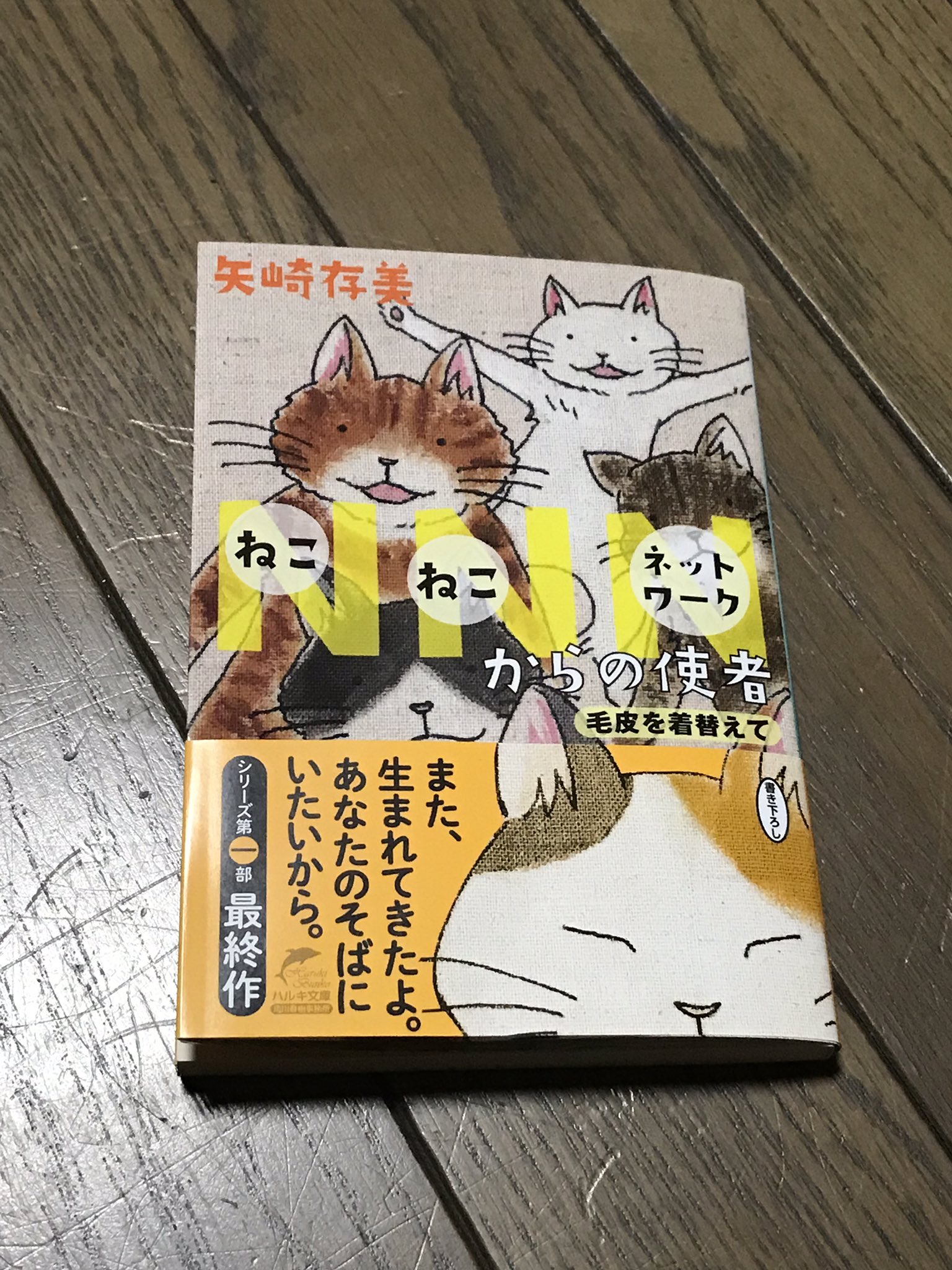 毛皮を着替えて Twitter Search Twitter