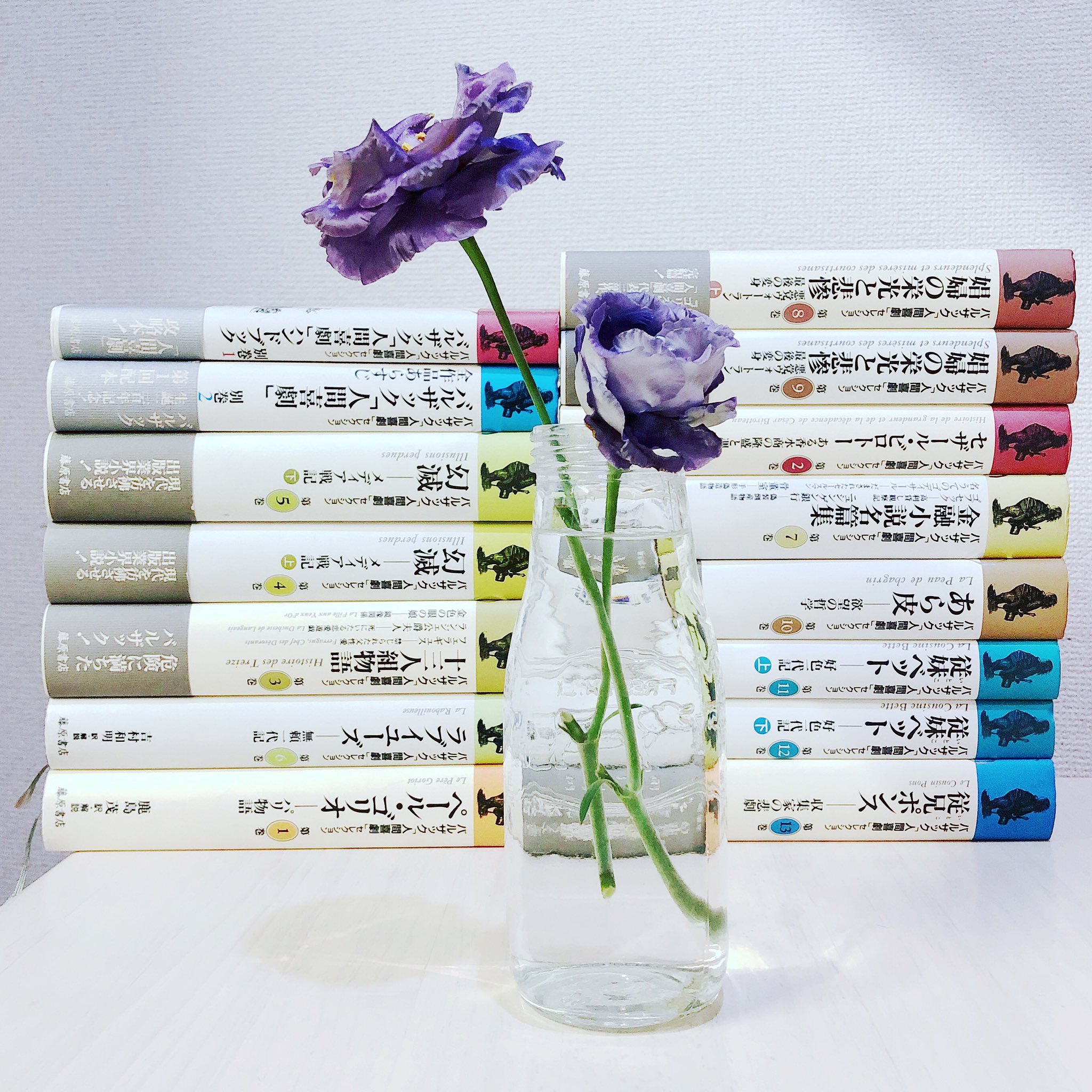 井嶋ナギ ずっと欲しかったバルザック 人間喜劇 セレクション全15冊 藤原書店 責任編集 鹿島茂 山田登世子 大矢タカヤス ついに買った 登場人物が異様に多いので 人間喜劇 登場人物辞典や全作あらすじなどを収録した 別巻がありがた