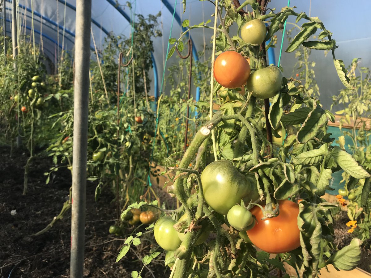 Crookes Corner tweet media