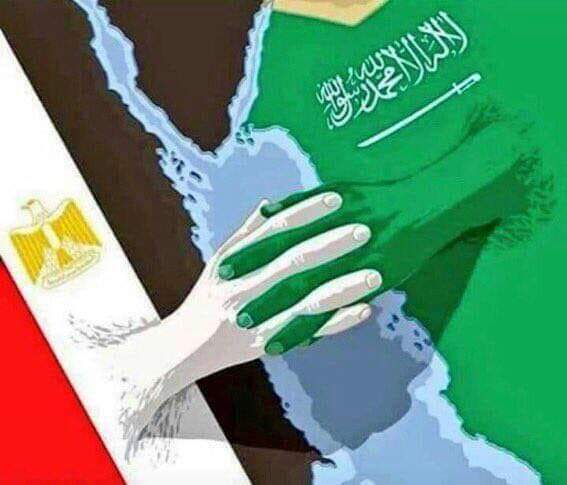 السعودي الأمريكي للكلادينج (@tampco_sa) on Twitter photo 