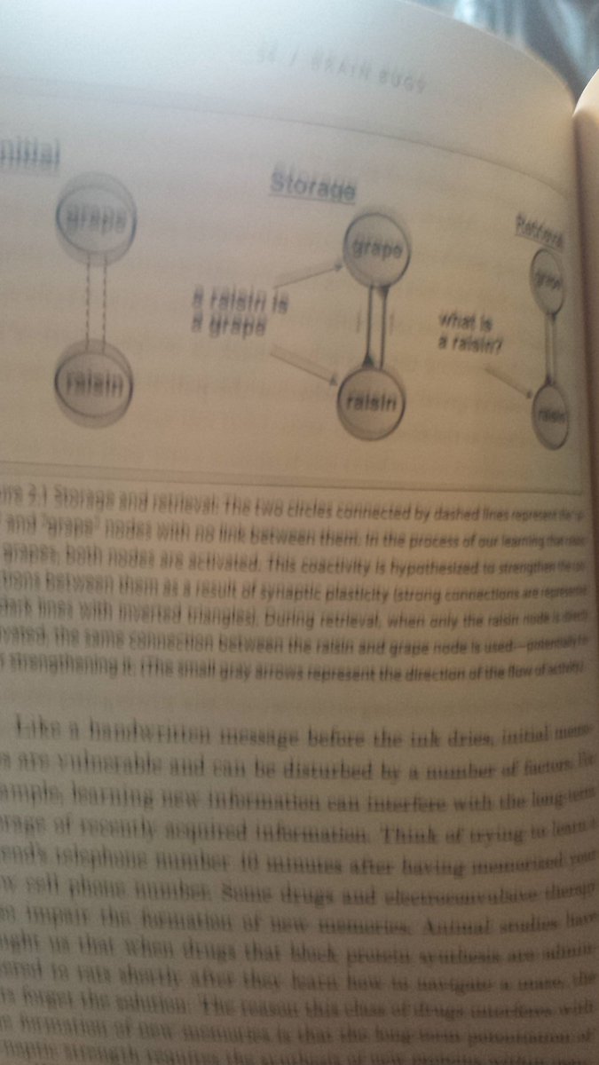 angel_houts's tweet image. I should be focused on articles and journal papers, but this book is so interesting. It is also within my research realm. #psychology #brainbugs #cognitivepsychology 
#psycholinguistics