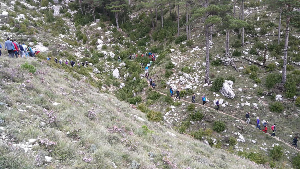 parcscat's tweet photo. Visita tècnica #PATT2018 a la Mola Castellona #PNPorts. Recorregut per una zona incendiada el 1986 i per un rodal de bosc on es va executar una #cremaprescrita #LIFEPinassa @bomberscat
#GRAF @ctforestal https://t.co/MvELGTFIAf