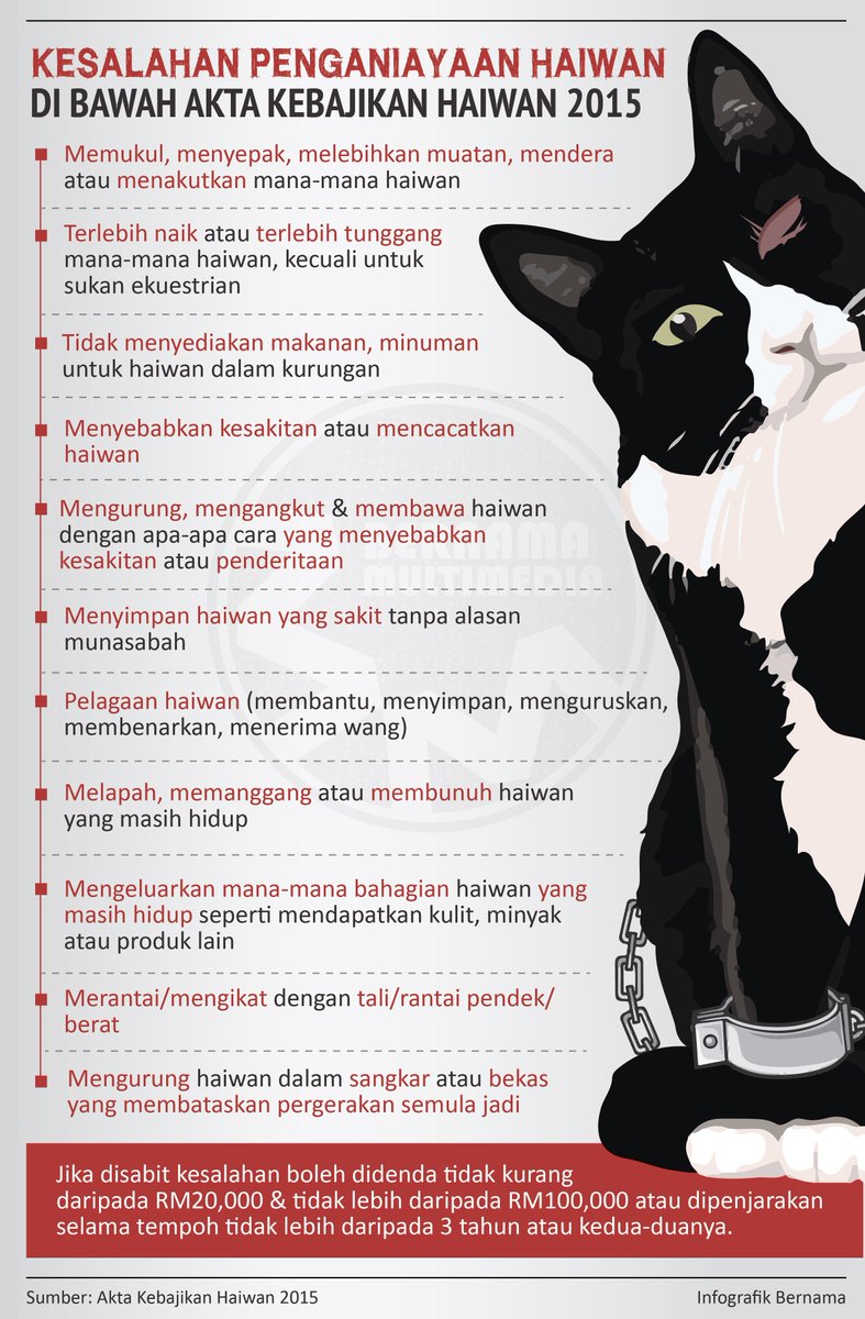 Bernama On Twitter Infografik Kesalahan Penganiayaan Haiwan Di Bawah Akta Kebajikan Haiwan 2015 Https T Co Eyxchh4nkd Https T Co Ognmtujceg Twitter