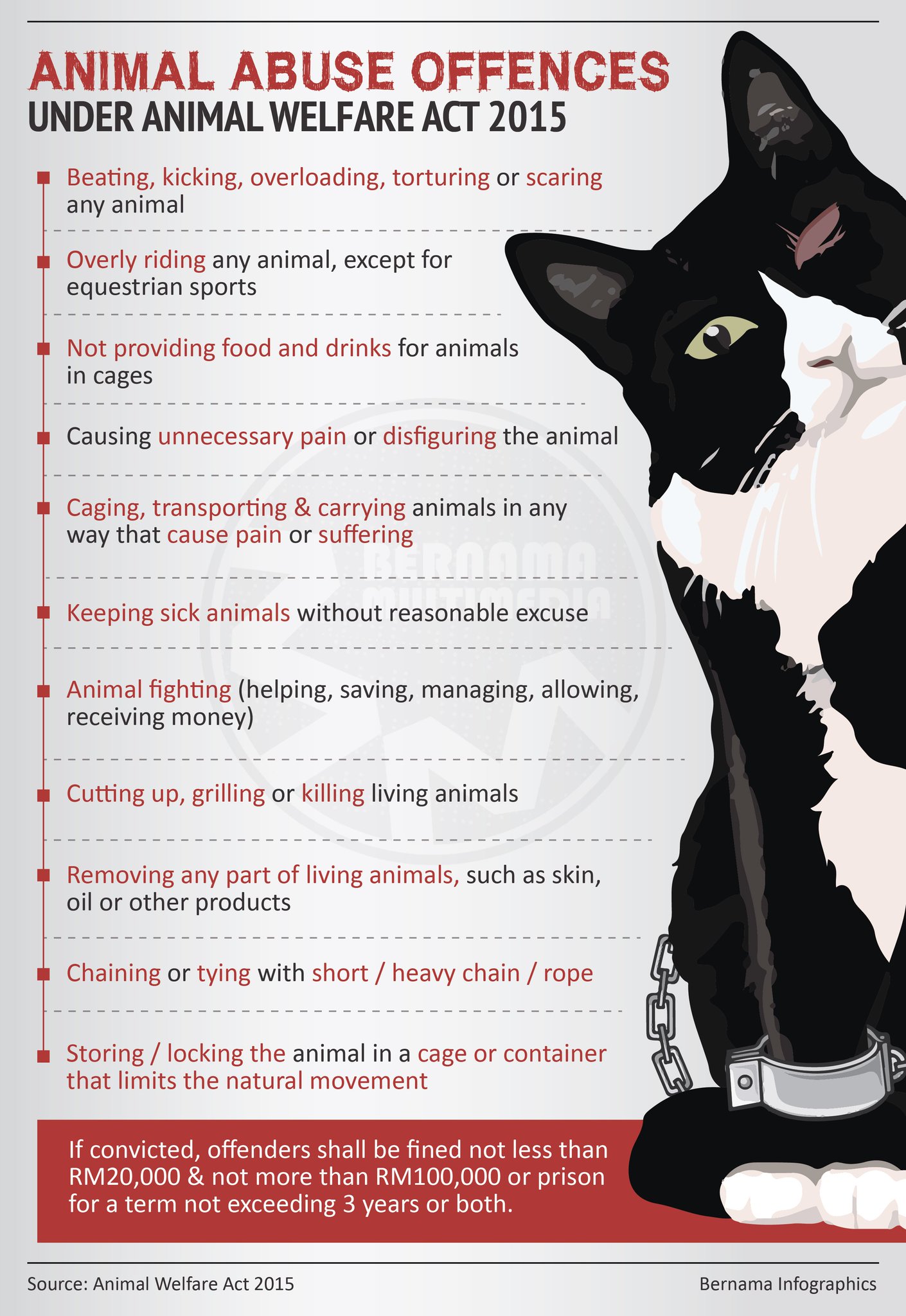 animal welfare act malaysia Claire Vance