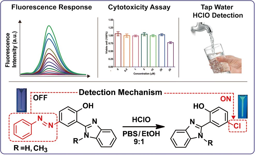 AnalBioanalChem's tweet image. An #ESIPT-based fluorescent probe for the determination of hypochlorous acid (HClO): mechanism study and its application in cell #imaging
by Weihua Chen et al @uakron 

link.springer.com/article/10.100…