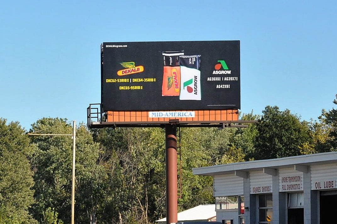 DKAS_SIL's tweet image. We’re seeing #SignsofSuccess across southern Illinois! @Asgrow_DEKALB #SuccessNeverRests #MyFarmMyYield