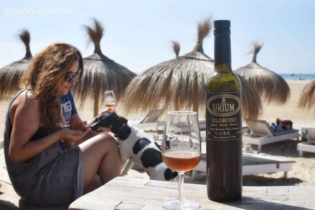 RocioUrium's tweet photo. Amor perruno.
Foto: @juanduqueoliva
#amorperruno🐶 #Shakira #playa #beach #chiringuito #tarifa #carbones13 #olorosovors #olorosourium #olorosoviejo #sherrylover #sherryweek #sherrywine #vinosdejerez #urium #uriumoment #uriumpeople #dogsloveurium #perrobodeguero #perrabodeguera https://t.co/nQCassXHOO