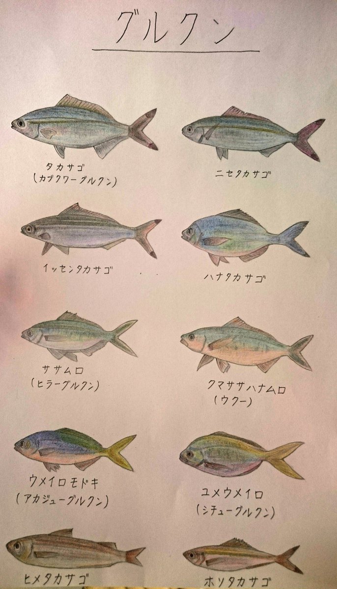 グルクン うにポテイト בטוויטר 沖縄の県魚 グルクンにはこんなに種類があるそうです また食べたいなー 釣ったら誰か送ってくれないかな グルクン