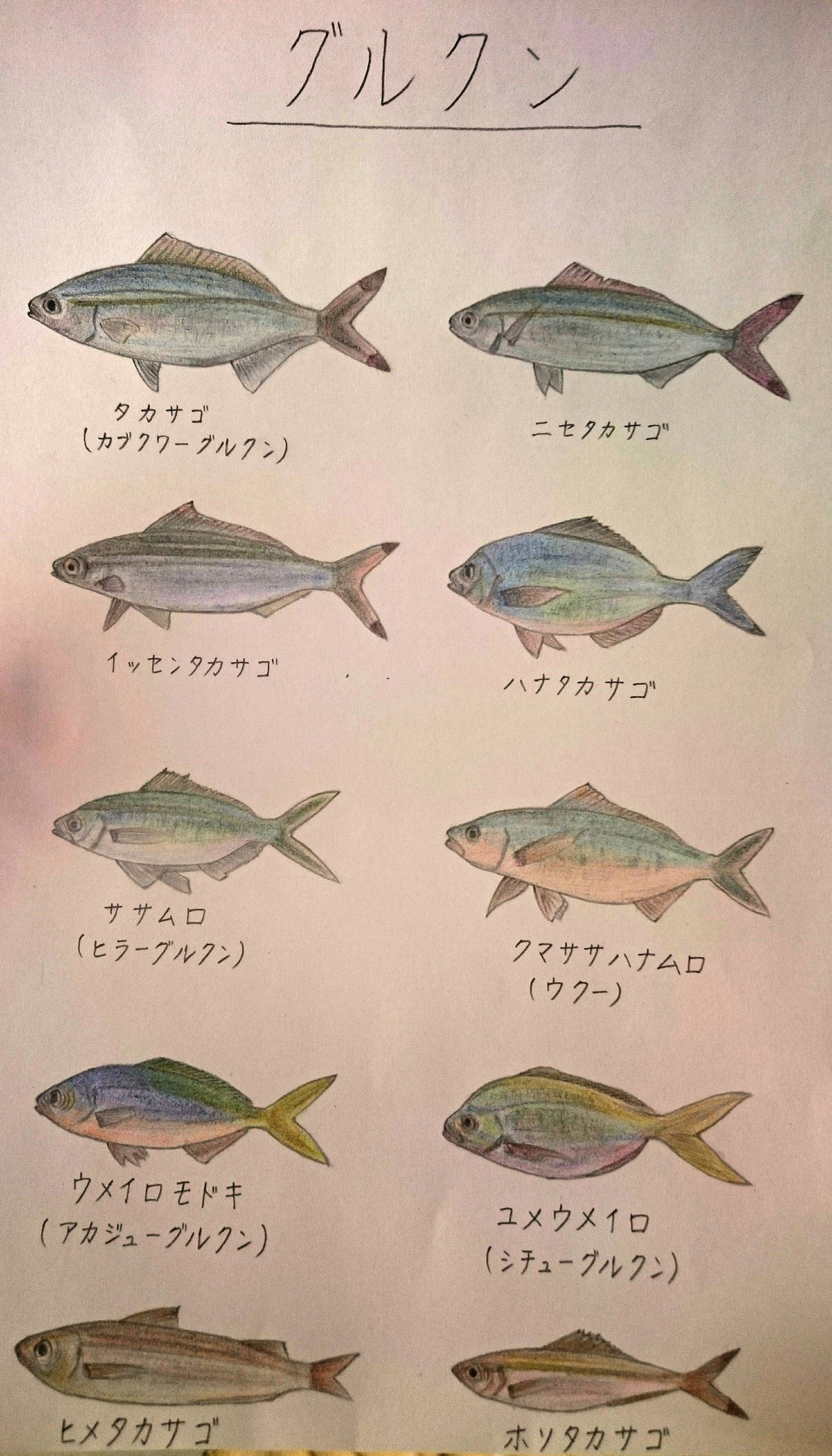 グルクン うにポテイト בטוויטר 沖縄の県魚 グルクンにはこんなに種類があるそうです また食べたいなー 釣ったら誰か送ってくれないかな グルクン グルクン うにポテイト בטוויטר 沖縄の県魚 グルクンにはこんなに種類があるそうです また食べたいなー 釣ったら誰か送ってくれないかな グルクン