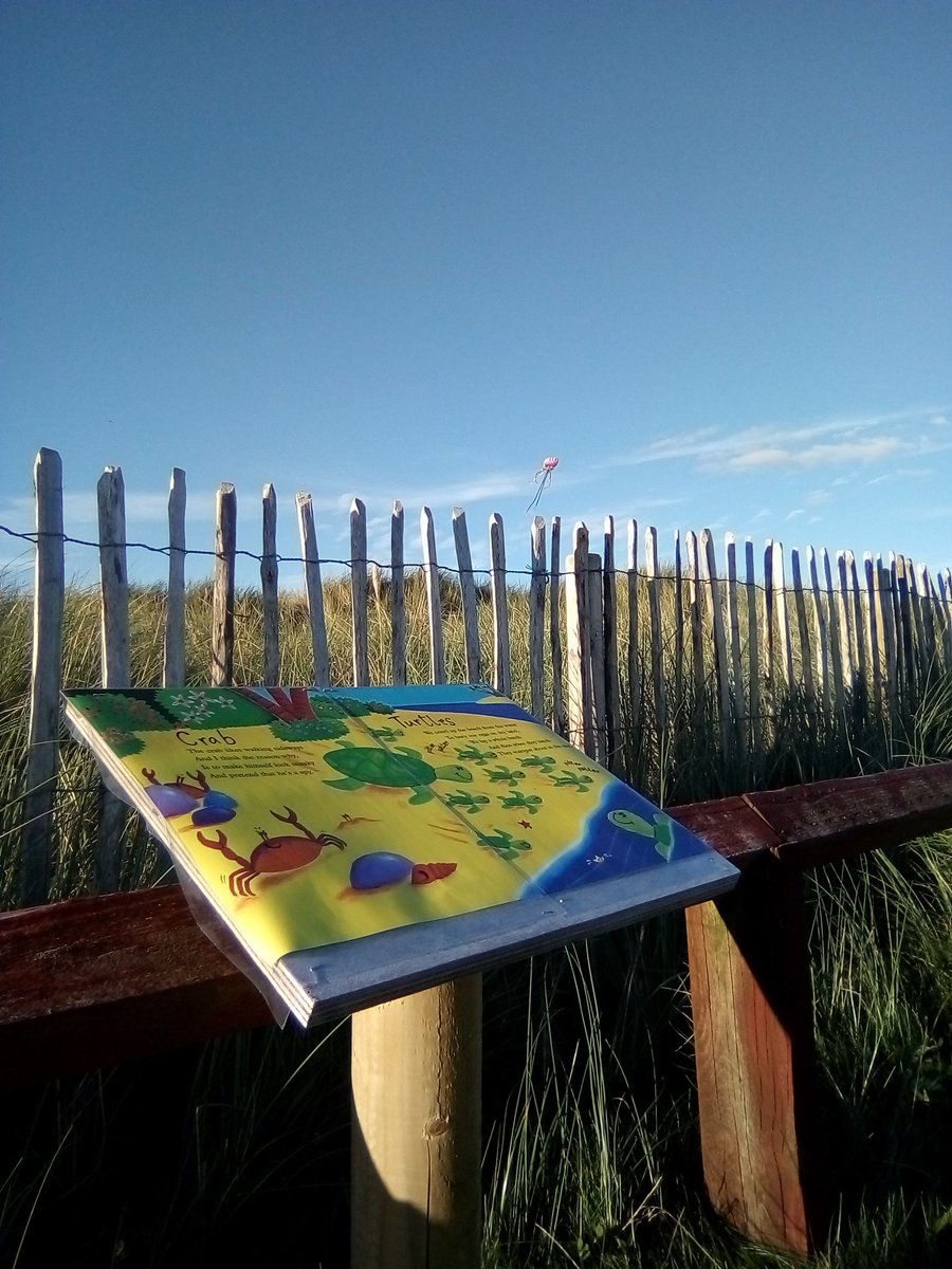 DbowiePD's tweet photo. @sligolib Enniscrone Story trail ...
New story book up... Commotion in the Ocean... #Enniscronelibrary #WildAtlanticWay #storytime @sligococo @sligoevents @SligoChampion @sligotourism https://t.co/bpPmgbeDMy