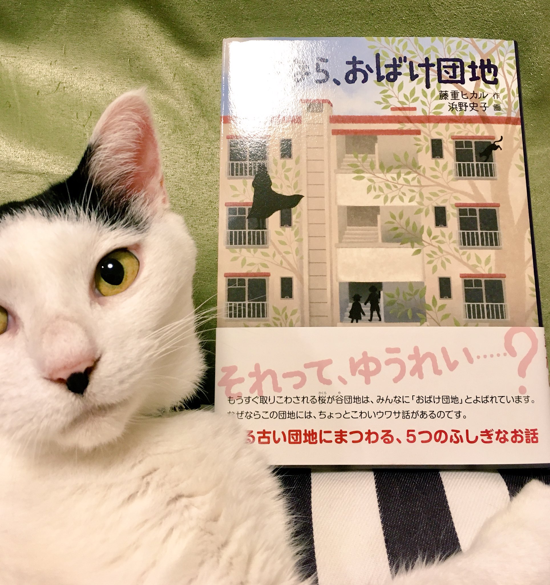 サイン本　オダシゲ　まんまる団地 第1集 サイン本 オダシゲ まんまる団地 第1集 - メルカリ