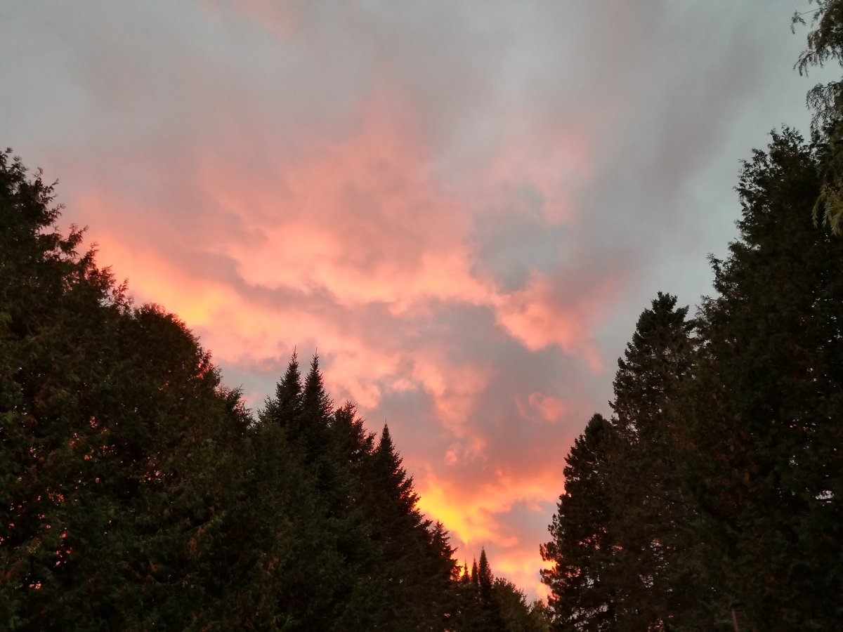 UPTreefarmer's tweet photo. Sunset last night at #DecompressU. Book it at #Airbnb #Chassell #RusticCabinwithSauna  https://t.co/2pBs8KMkqY #RoomNearMichiganTech https://t.co/4yUqm3T2dx #Keweenaw #PureMichigan https://t.co/80EEiIKjLt