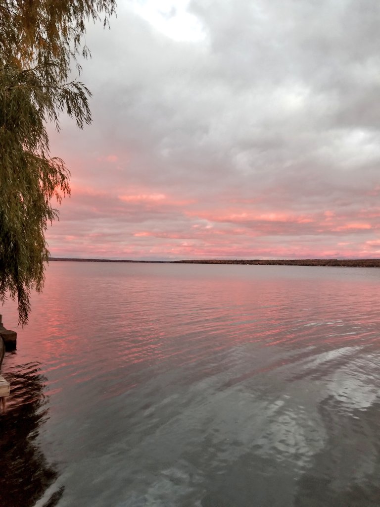 UPTreefarmer's tweet photo. Sunset last night at #DecompressU. Book it at #Airbnb #Chassell #RusticCabinwithSauna  https://t.co/2pBs8KMkqY #RoomNearMichiganTech https://t.co/4yUqm3T2dx #Keweenaw #PureMichigan https://t.co/80EEiIKjLt