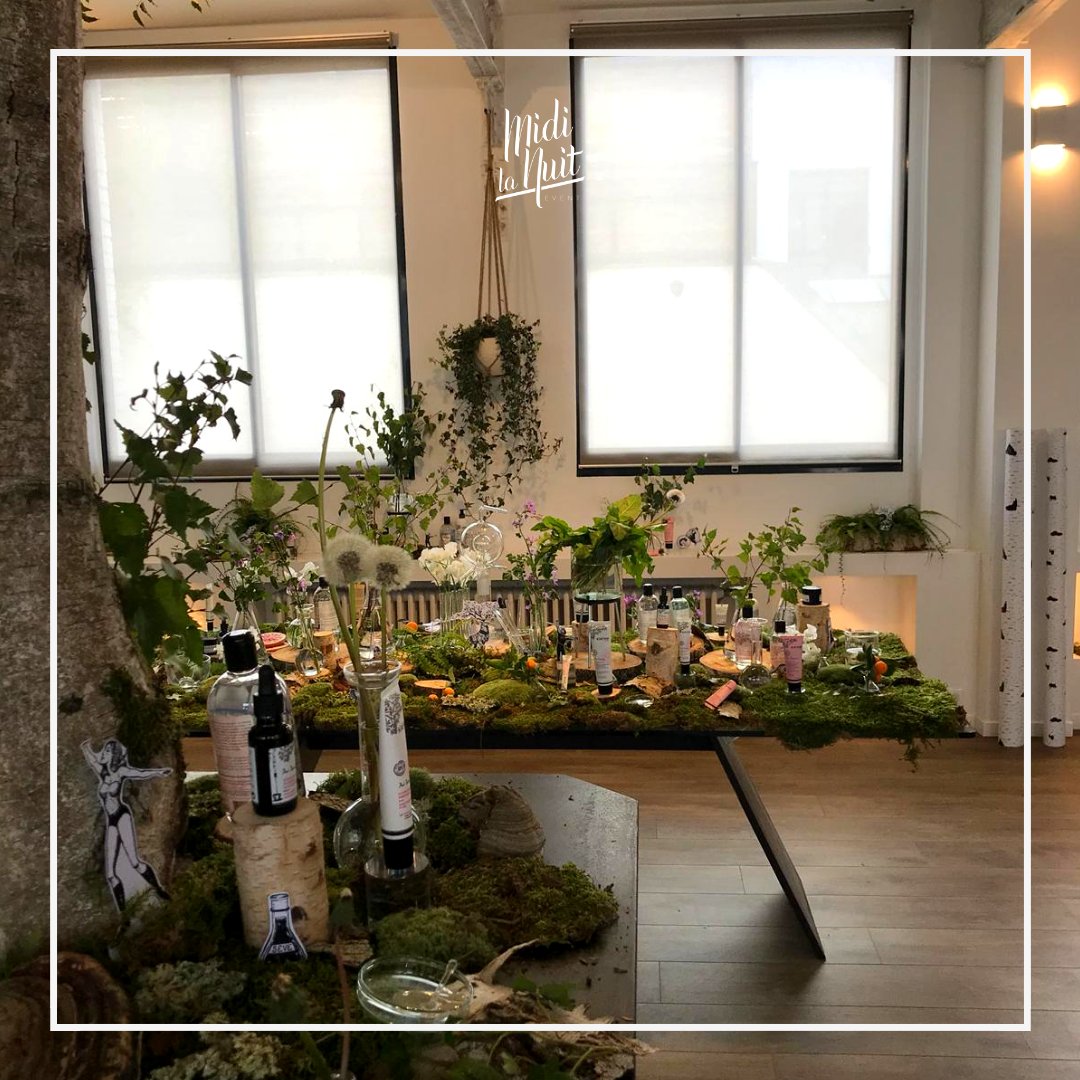 MIDILANUIT's tweet photo. Mise en scène des produits Saeve, dans un univers végétal et enchanteur autour du bouleau et du chaga  🌿🍂 https://t.co/xCduD0yfSM