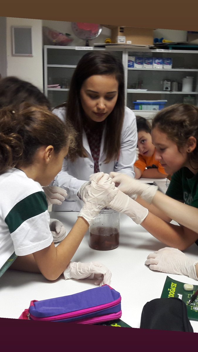 #bilimindoğası "Destek ve Hareket Sistemi" konusunda -Kemiğin Yapısını- inceledik ve sirkede bulunan kemiğin yumuşadığını gözlemledik. 👨‍🔬👩‍🔬 @MUALLA_OZS <a href="/BozkurtRezan/">Rezan Bozkurt</a> <a href="/gmzkucuk/">Gamze</a>