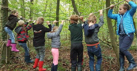 ★ GAASTERLANDSE NATUURWEEK ★ Een geweldige herfstvakantieweek staat ons te wachten met leuke dingen zoals een super tof kinderdorp met een BIG SWING! Kom van alles knutselen, bouwen en genieten van de natuur! ➤bit.ly/2CguyIs <a href="/Marenklif/">Mar en Klif</a> #herfstvakantie2018 #natuur