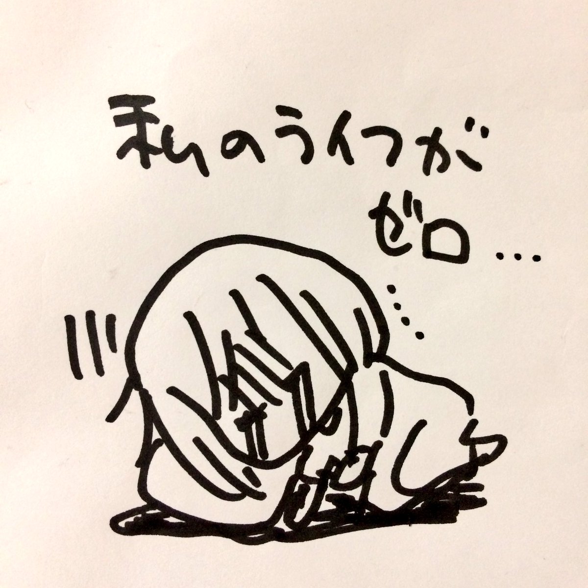ダメもとで…🙏😿 