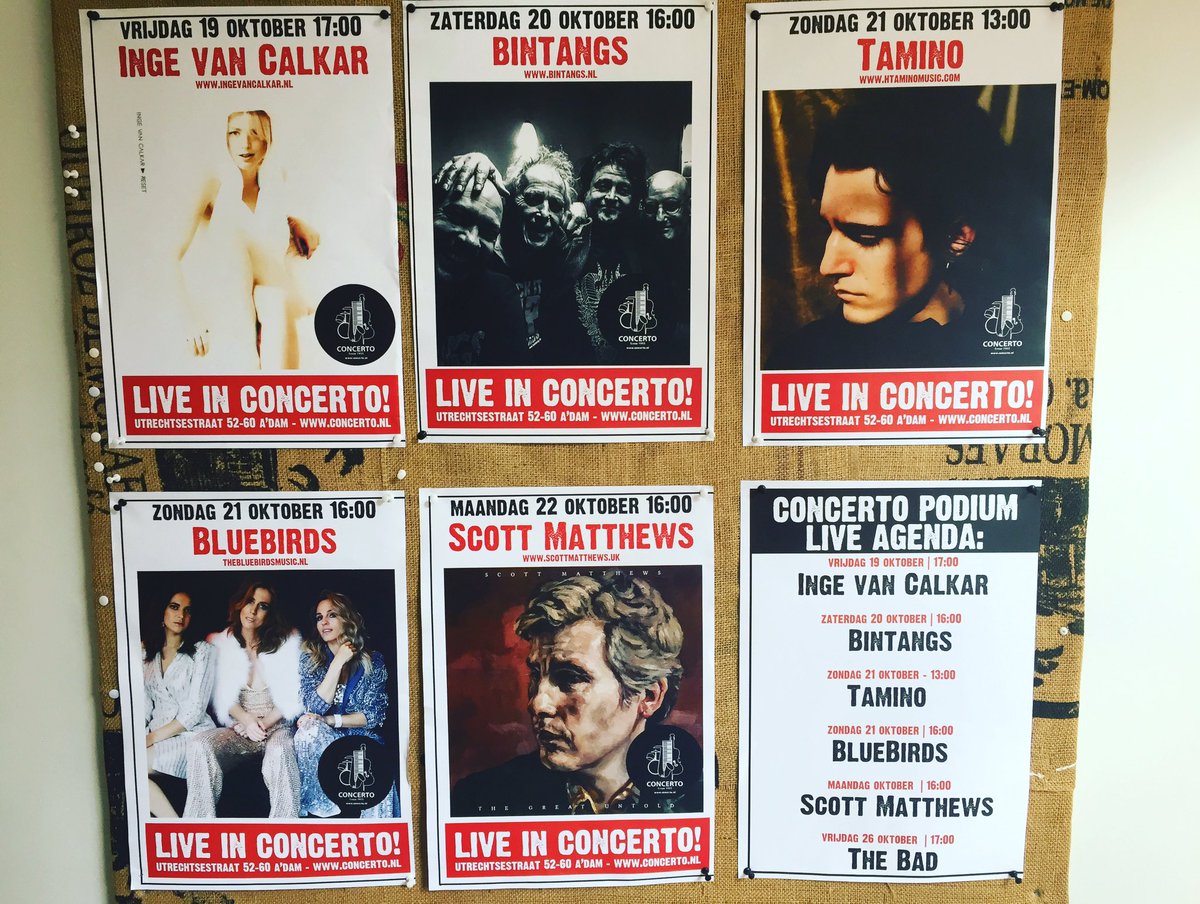 Concertorecords's tweet image. Instores deze week! @ingevancalkar #ingevancalkar #bintangs @taminoamir #tamino #bluebirds @scottmatthewsuk #scottmatthews