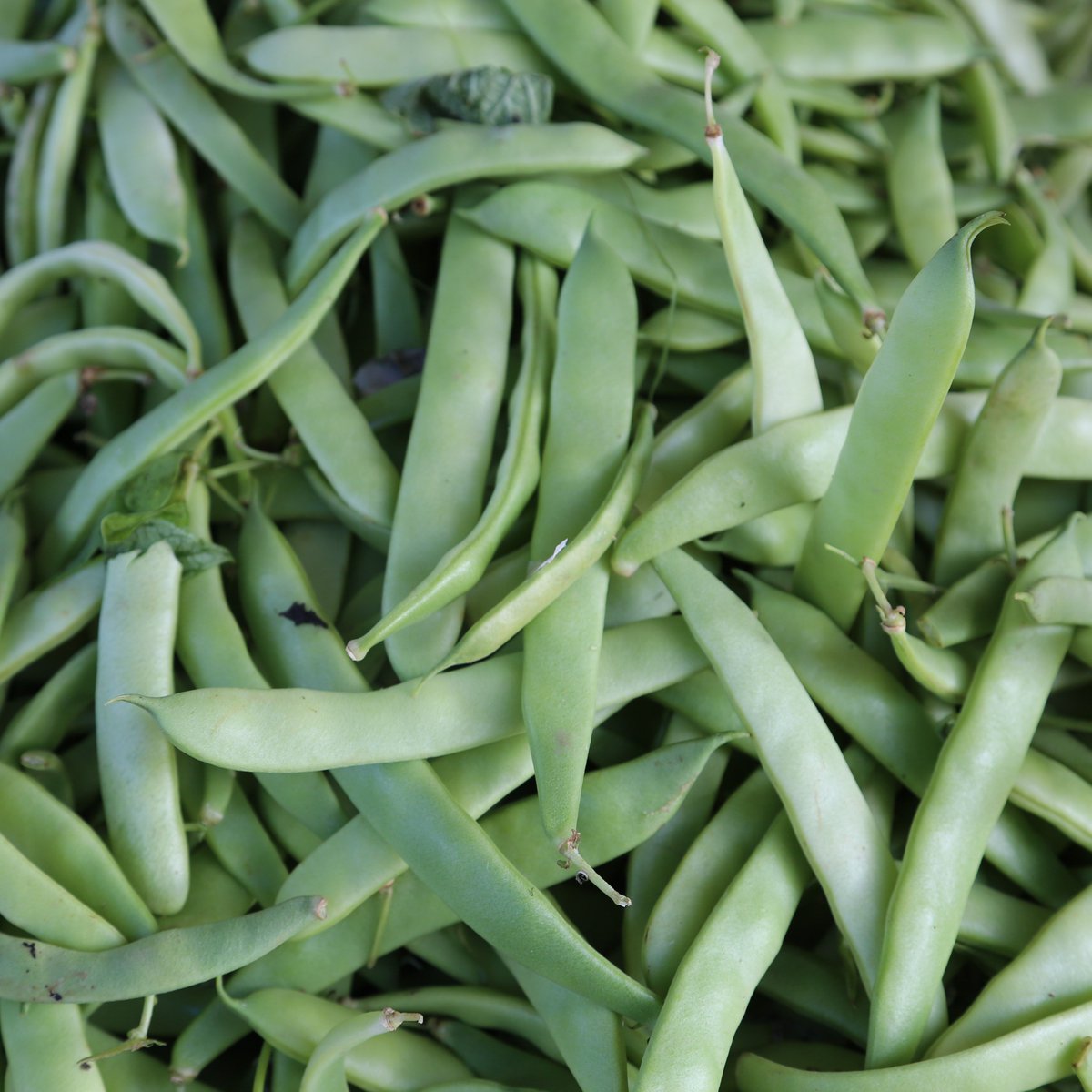 Happy #WorldFoodDay! 🍋🍅🍃 

#DidYouKnow If 1/3 of food wasted across the world was recovered, it could feed 870 million people?