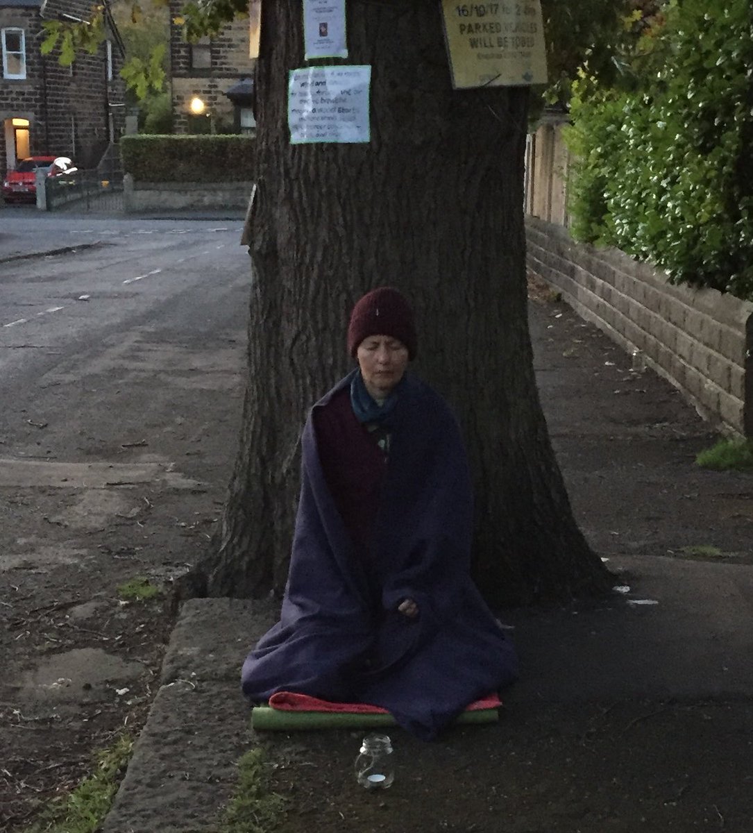 SAVEDORETREES's tweet image. On 16th October, 2017, one year ago, Vernon’s team were preparing to face the felling team expected to arrive at any time. It turned out rather differently. First the vigil on the previous evening, then @sj_unwin meditated from 7.00 and by 7.30 someone was spotted up the tree!