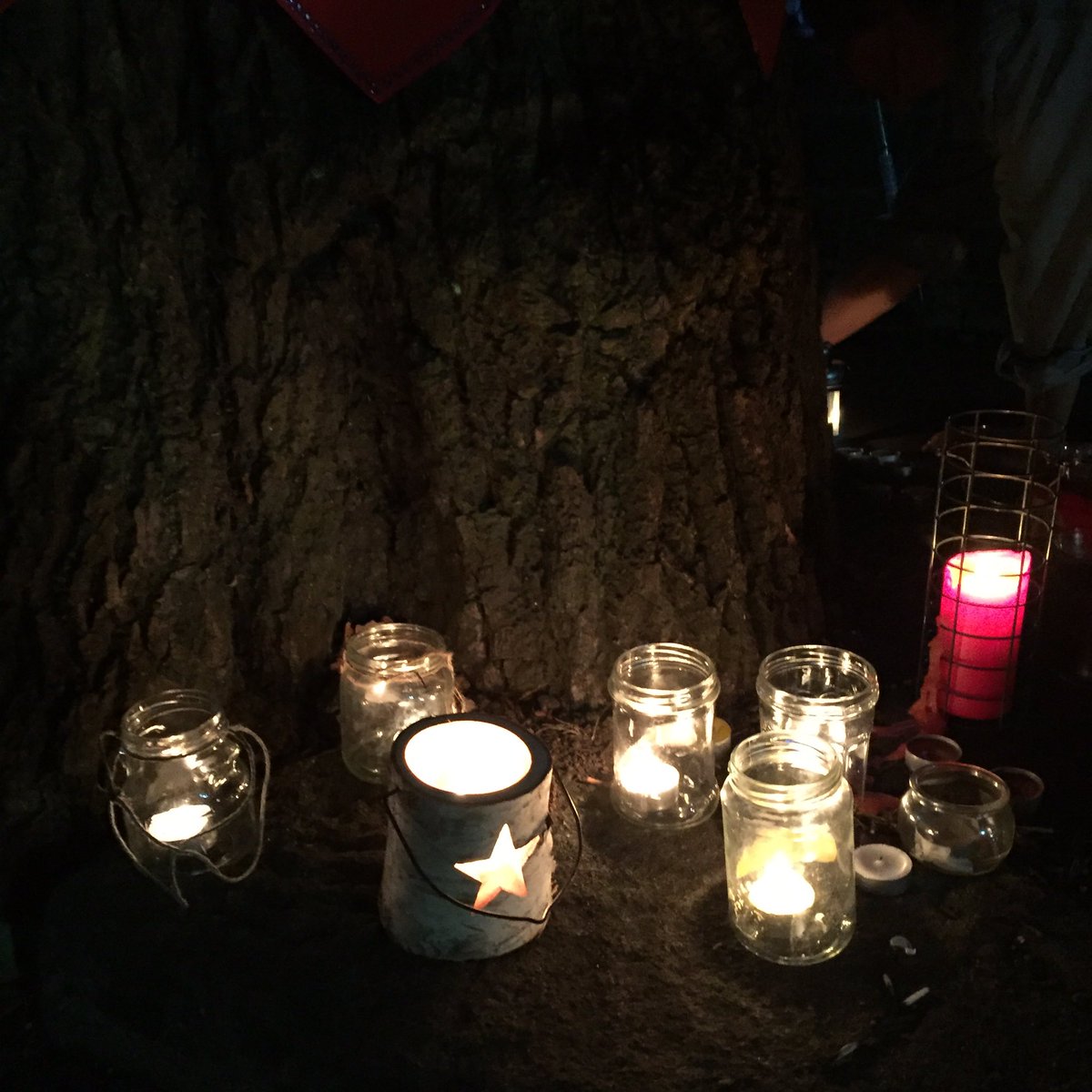 SAVEDORETREES's tweet image. On 16th October, 2017, one year ago, Vernon’s team were preparing to face the felling team expected to arrive at any time. It turned out rather differently. First the vigil on the previous evening, then @sj_unwin meditated from 7.00 and by 7.30 someone was spotted up the tree!