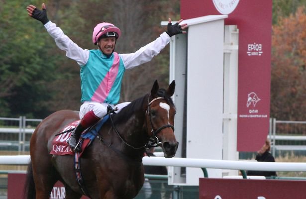 Enable yeni rota BC Turf