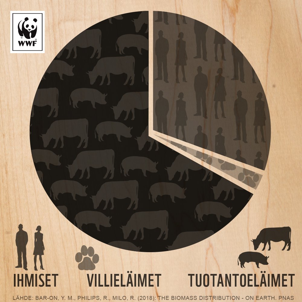Maapallon nisäkkäistä tuotantoeläimiä on niin paljon, että ne painavat 14 kertaa enemmän kuin kaikki luonnossa villinä elävät nisäkkäät yhteensä. Kasvava lihankulutus ajaa luonnon ahtaalle, kun lihantuotantoon tarvitaan lisää maapinta-alaa. #lihatonlokakuu #maailmanruokapäivä