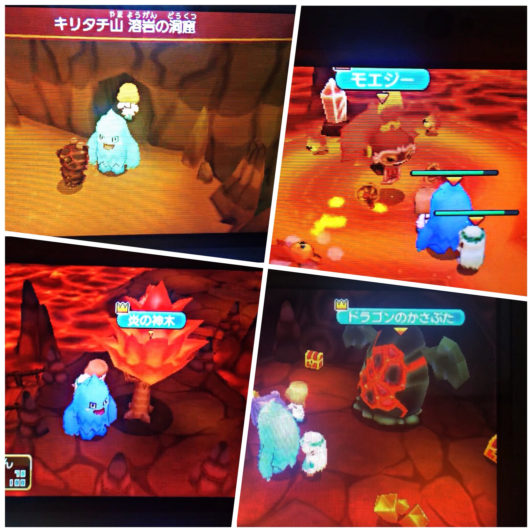 シバ A Twitter 3ds版 ファンタジーライフ キリタチ山 溶岩の洞窟 モエジー 炎の神木 ドラゴンのかさぶた 採掘 キリタチ山山頂 シルバーファング レイトウマグロ 白モミ これなんかクリスマスにうってつけだな 12月アップデート来たりして シバ A Twitter 3ds版 ファンタジーライフ キリタチ山 溶岩の洞窟 モエジー 炎の神木 ドラゴンのかさぶた 採掘 キリタチ山山頂 シルバーファング レイトウマグロ 白モミ これなんかクリスマスにうってつけだな 12月アップデート来たりして