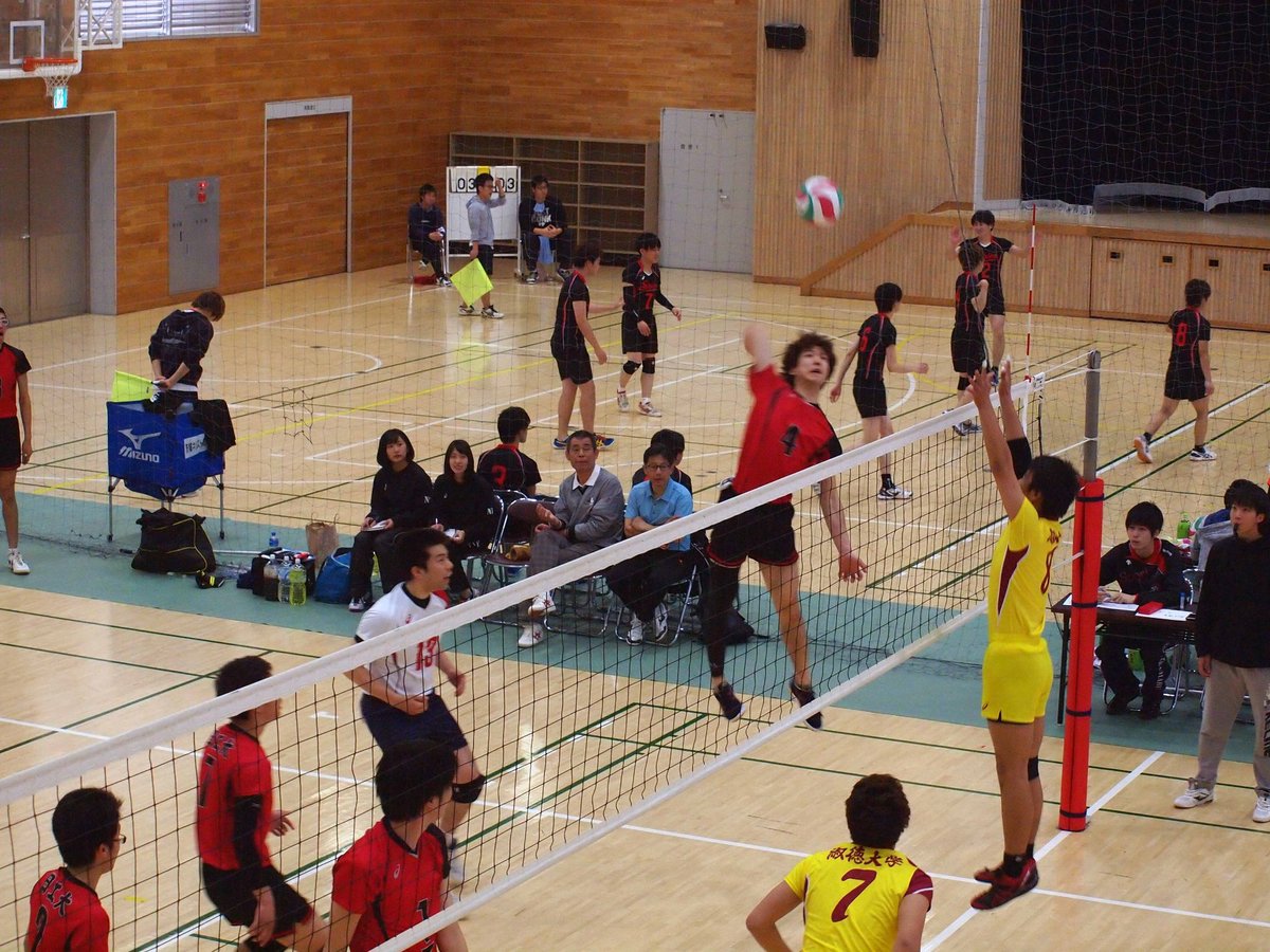 nitvolleyball__'s tweet photo. 秋季の大会で四年生の先輩が引退しました
お疲れ様でした✨
そして今日代替わりで新たな主将、副主将、主務が決まりました！
5部にむけて新体制でこれからも頑張っていきます❗ https://t.co/Wmmx9DzrAy
