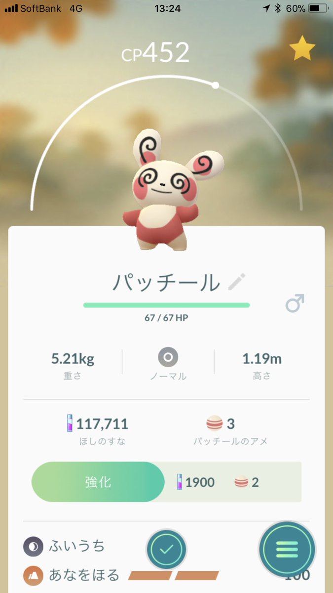 Yu_ki_Pokemon's tweet photo. パッチールやっといた！！！ https://t.co/1mPdiHXHw9
