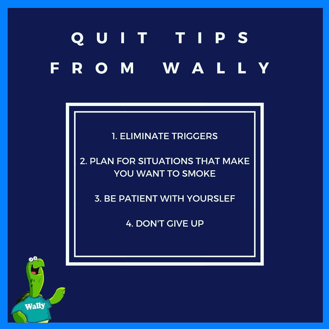 Wally believes in you. 🐢 
#tobaccotuesday #shellsquad #wallysays #ccu