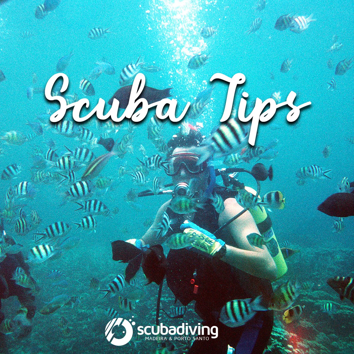 ScubaDivingM's tweet photo. Coat your mask with soap or detergent to prevent it from fogging. For an unusual option, spitting will also do the trick!
#ScubaDiving #ScubaTips https://t.co/oNxhWYQXq8