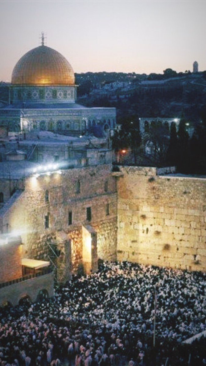 ~ مَفاهيم~#. 

المَسجد الأقصى هو كل ما دار حولَهُ السور و تبلغ مساحته ١٤٤ دونم، ويشكل سدس مساحة البلدة القديمة