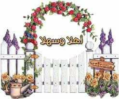 aadlmhmod1's tweet photo. https://t.co/RfYR6T1xCY