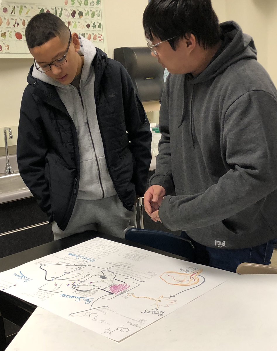 mrsrathsack's tweet photo. AP BIO Cell Organization & Cooperation βSpeed Datingβ presentations. @whs_wolves @WyomingWolves @wyoapbio #bettertogetherwps #WyomingWolves @DavidKnuffke #boxingtimer #endomembranesystem #SP1 https://t.co/CSj8tLGu3Y