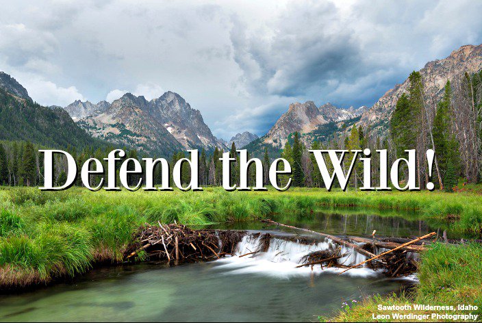 WildernessWatch's tweet photo. #HowYouCouldHelpIn5Words
Help keep it wild forever: https://t.co/dPwt0oK2Cd https://t.co/caJnHk8LW1