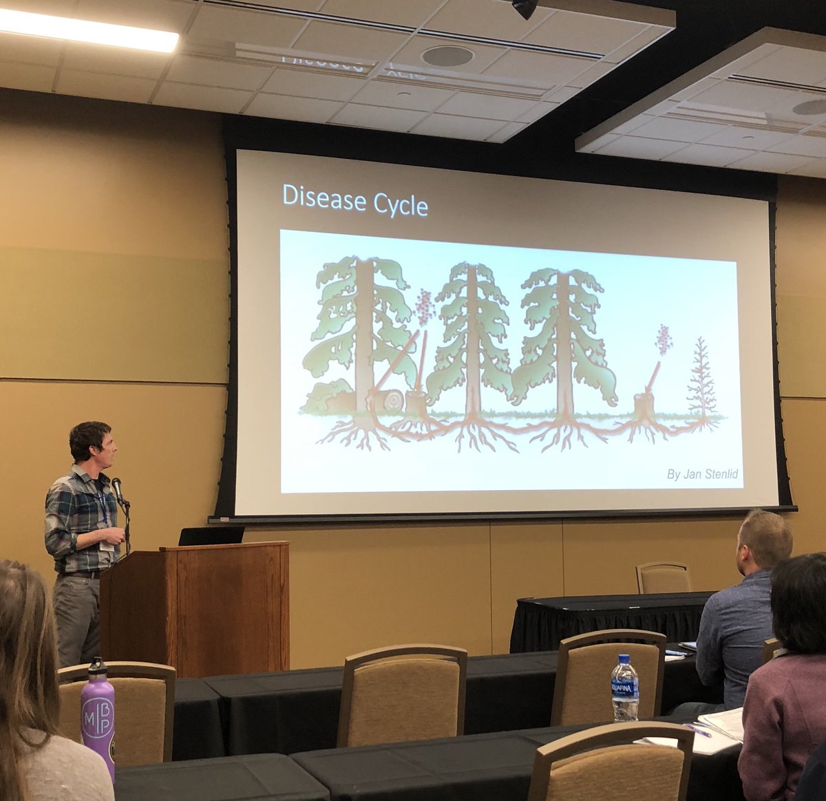 Really neat stump study to look at diversity of fungi in pine stands by Eric Otto (@UMNPlantPath). He found the often-used biocontrol agent for The #foresthealth issue heterobasidion root disease is fairly common, possibility keeping HRD in check. 

 #invasivespeciesconference