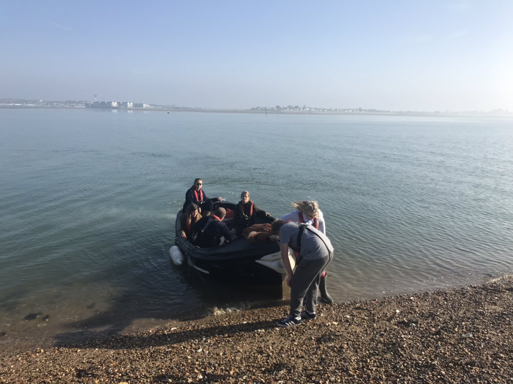 SancroftATeam's tweet photo. Mersey Island... the perfect spot for Capture The Flag, Muddy Toes and some more team bonding #ATeamGoSailing #MemoriesForLife https://t.co/nur9IK0d7o