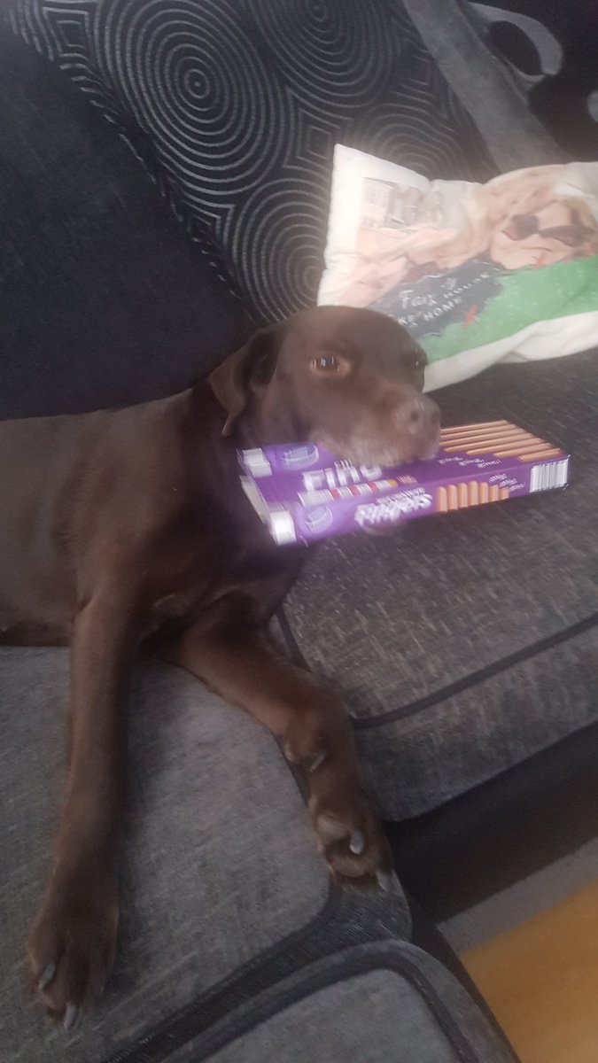 ChocMcVities's tweet photo. This girl! Lol love lola! Cutie! @VictoriaTyas https://t.co/ksS54rP9Lh