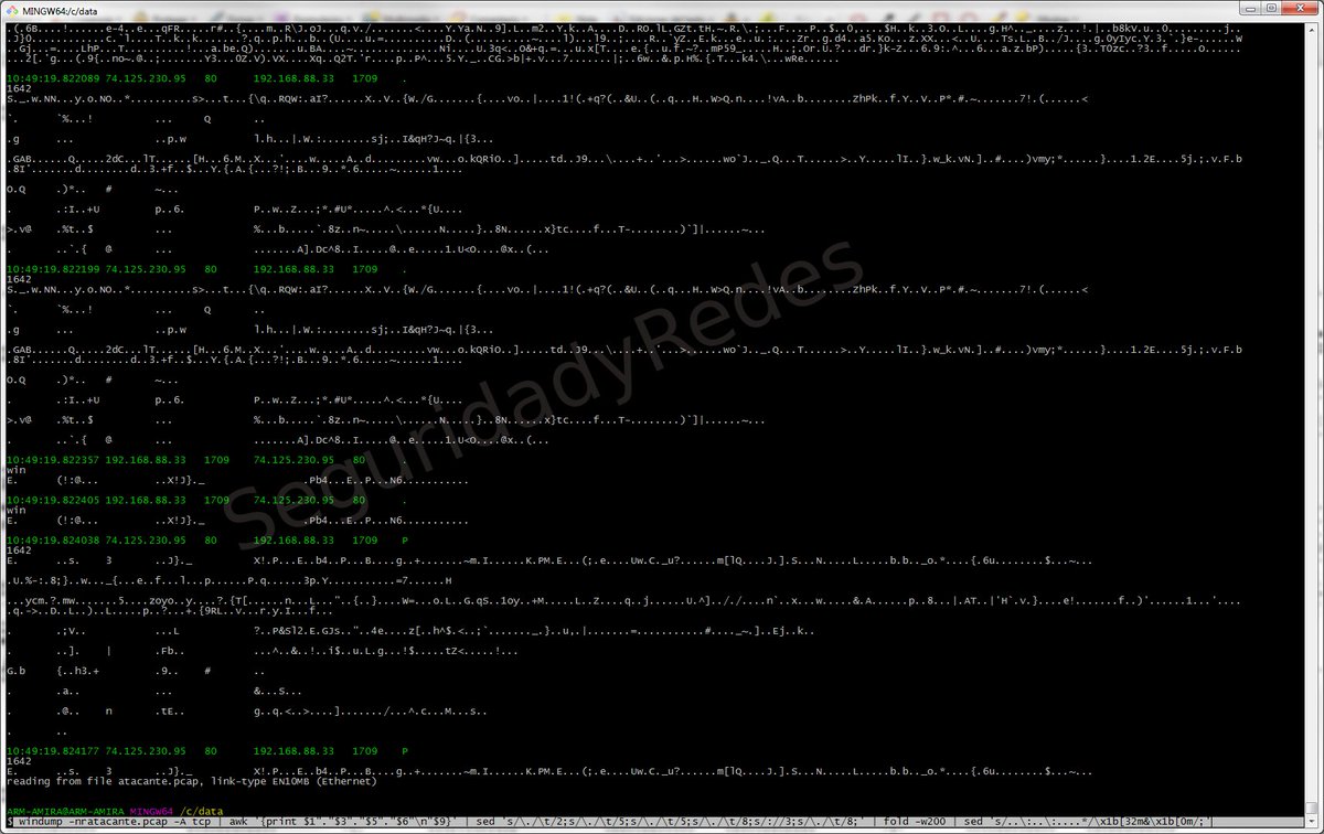 Alfon Seguridad Y Redes Trasteamdo Con Windump Y Windows Git Bash Windump Nratacante Pcap A Tcp Awk Print 1 3 5 6 N 9 Sed S T 2 S T 5 S T 5 S T 8 S 3 S T 8 Fold W0 Sed S