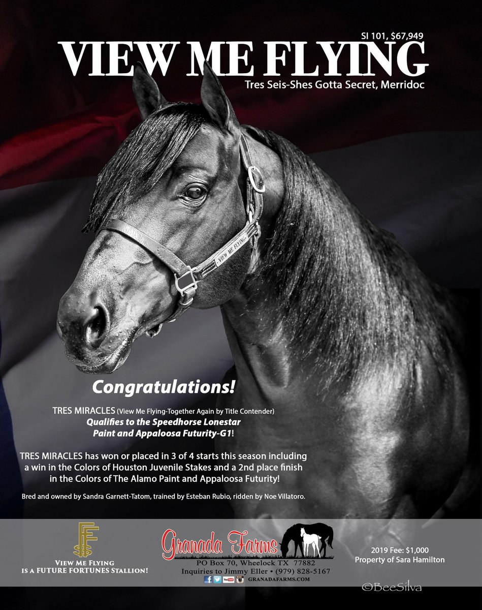 GranadaFarms's tweet photo. #ViewMeFlying congratulates TRES MIRACLES, qualifier to the G1 SH Paint and Appaloosa Futurity-G1! TRES MIRACLES has won or placed in 3 of 4 starts including a win in the Colors of Houston Juv Stakes and a 2nd place finish in the Colors of The Alamo Paint and Appaloosa Futurity! https://t.co/aE8M069tFw