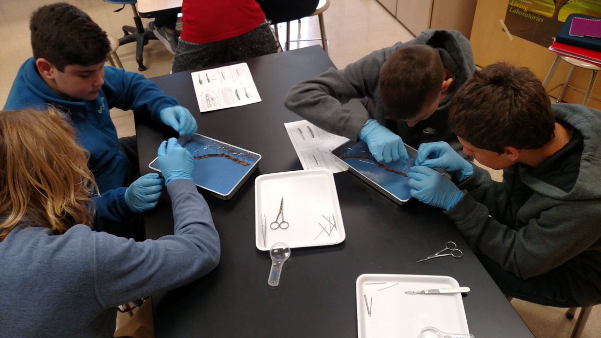 Mrs.Thoman tweet media