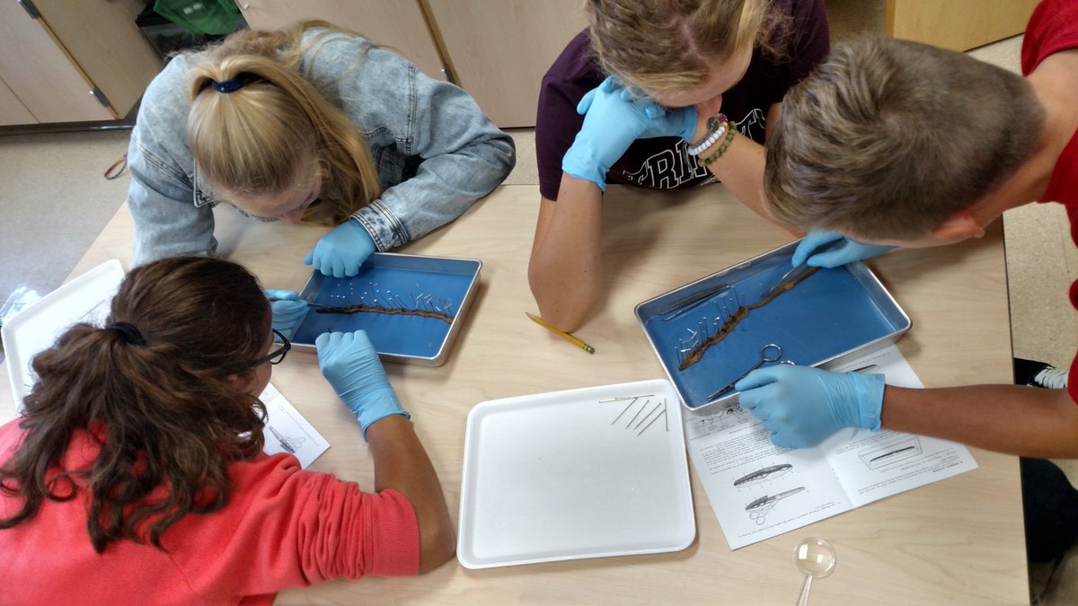 Mrs.Thoman tweet media