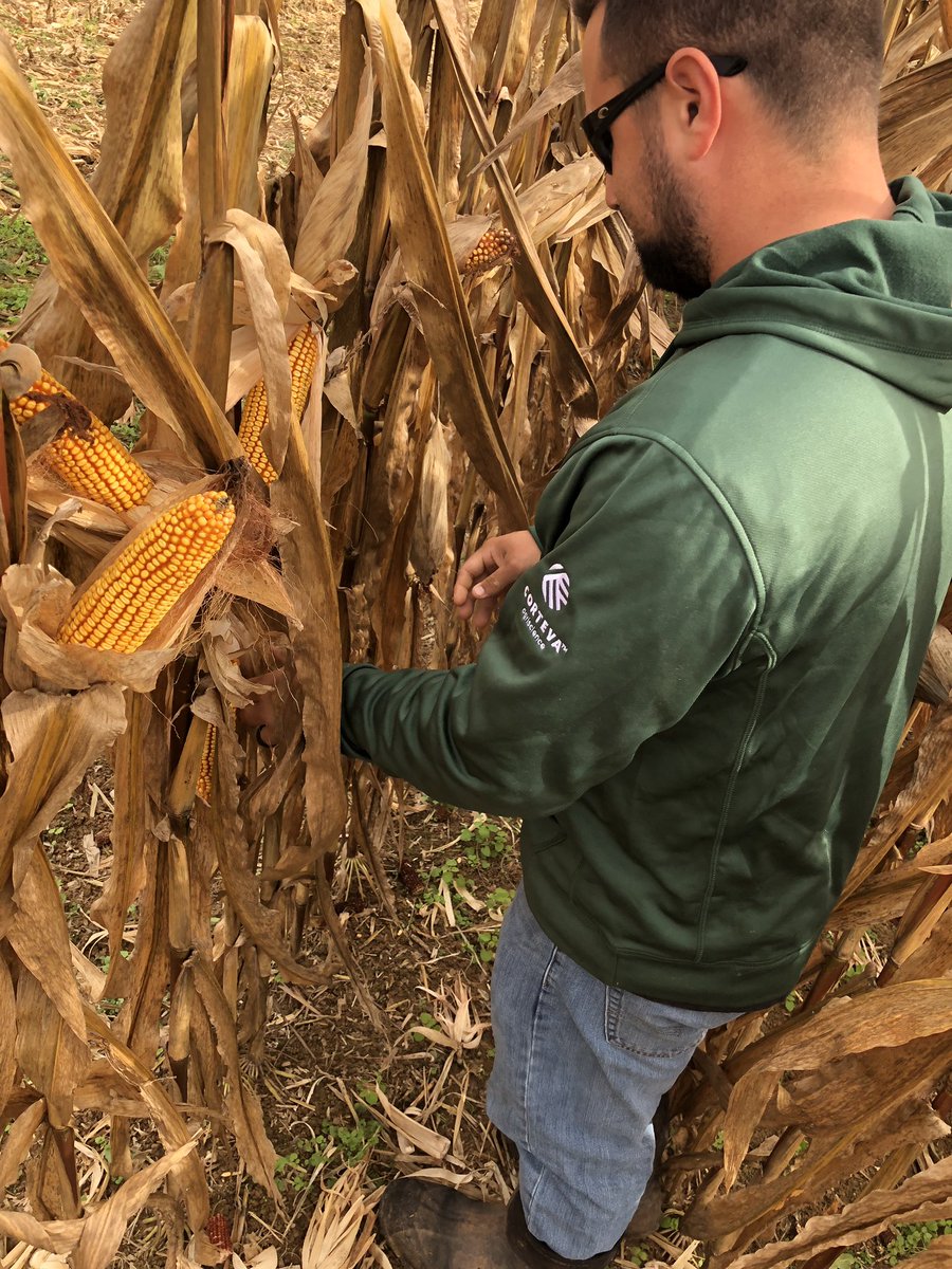 Nelson's Agri Service tweet media